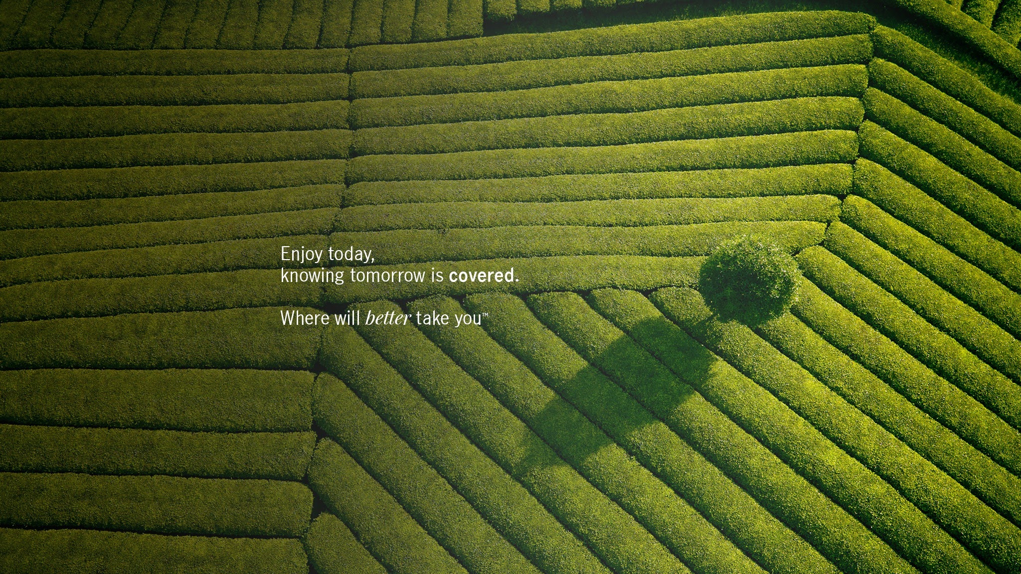 Manulife Singapore YouTube banner