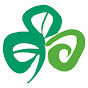 Tourisme Irlandais logo