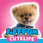 Jiffpom YouTube channel avatar 