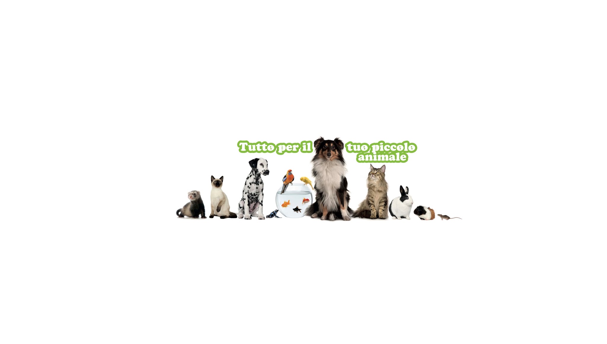 Tutto per il tuo piccolo animale YouTube banner