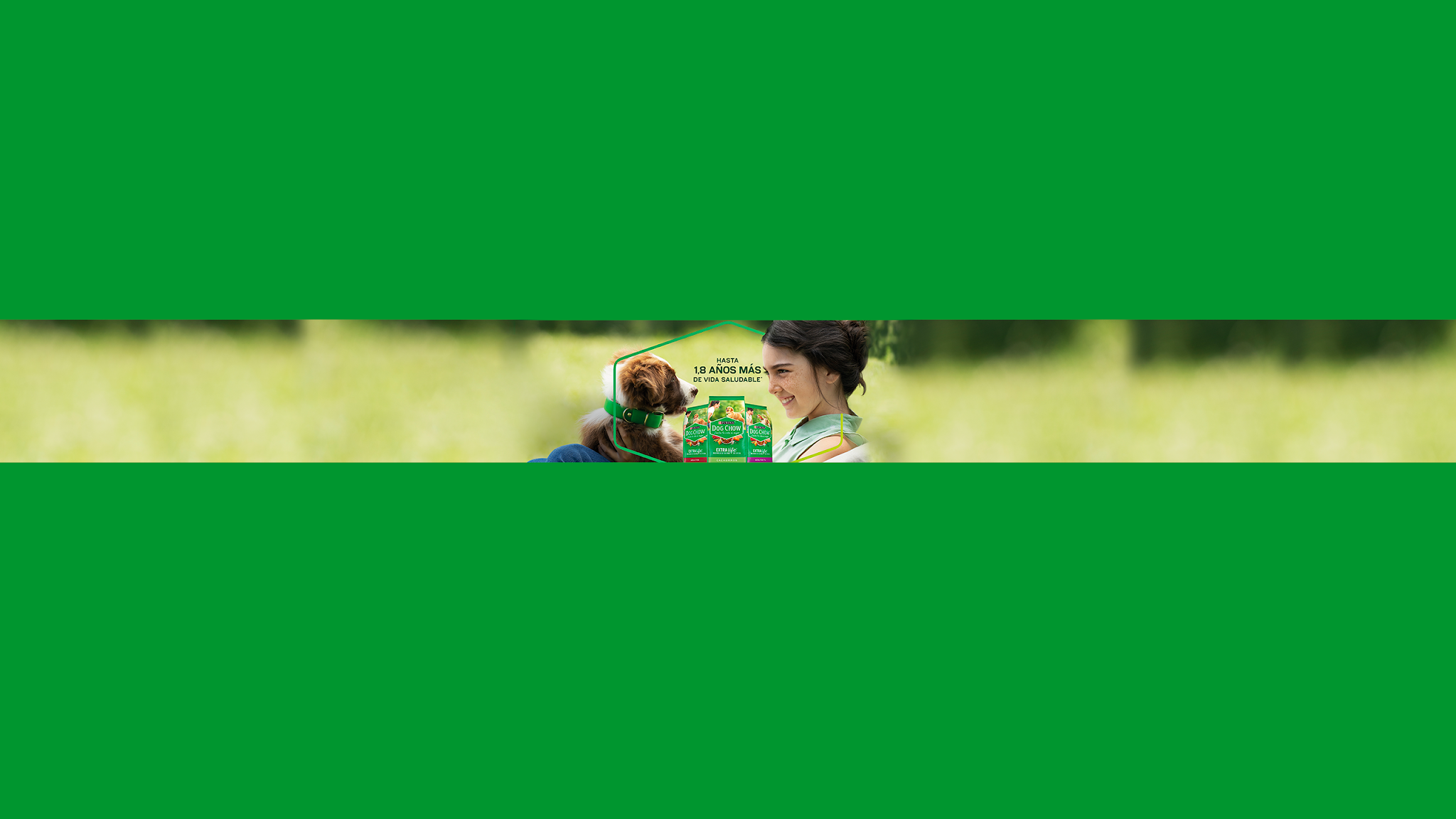 Purina Dog Chow Perú YouTube banner