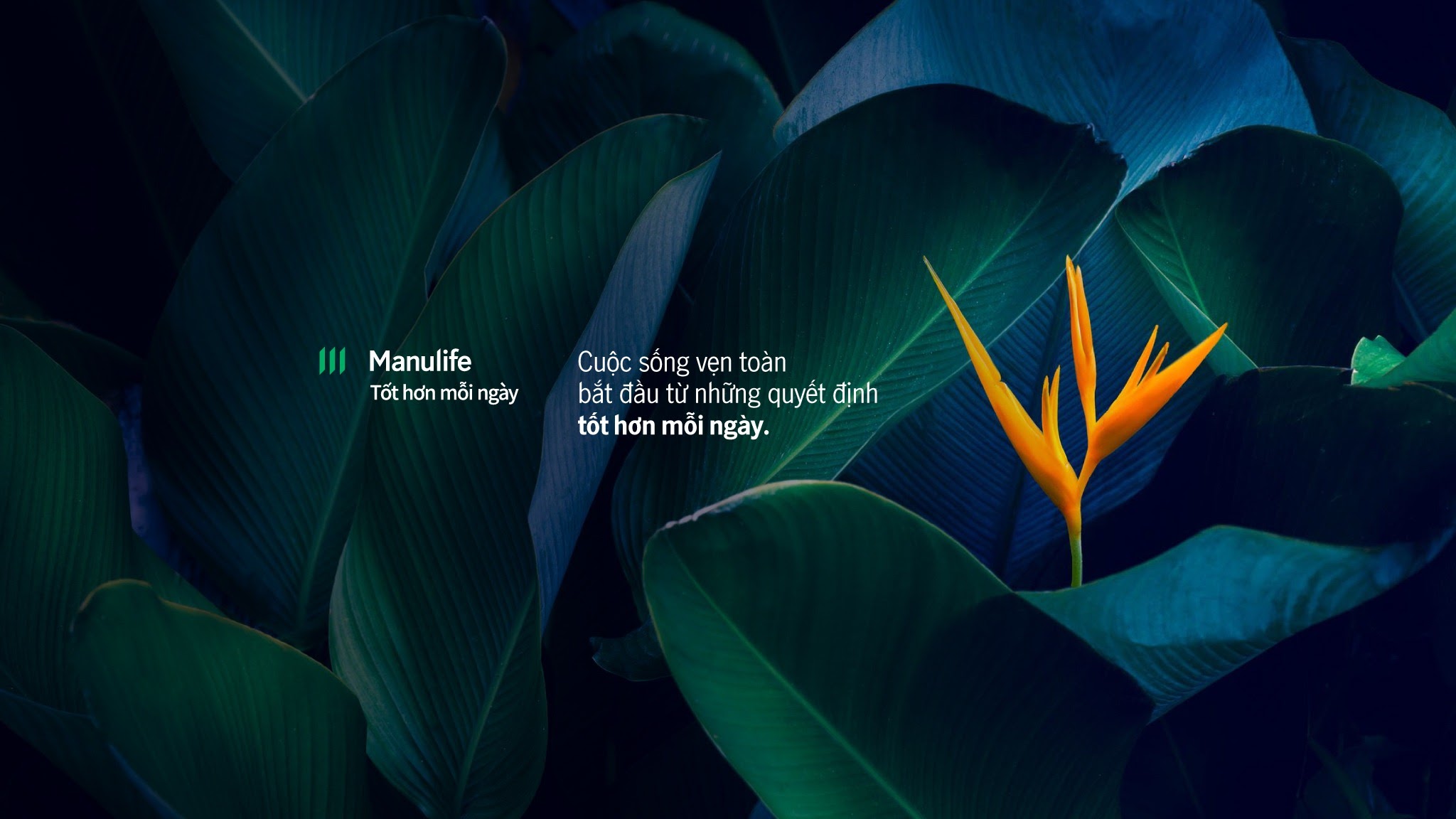 Manulife Vietnam YouTube banner