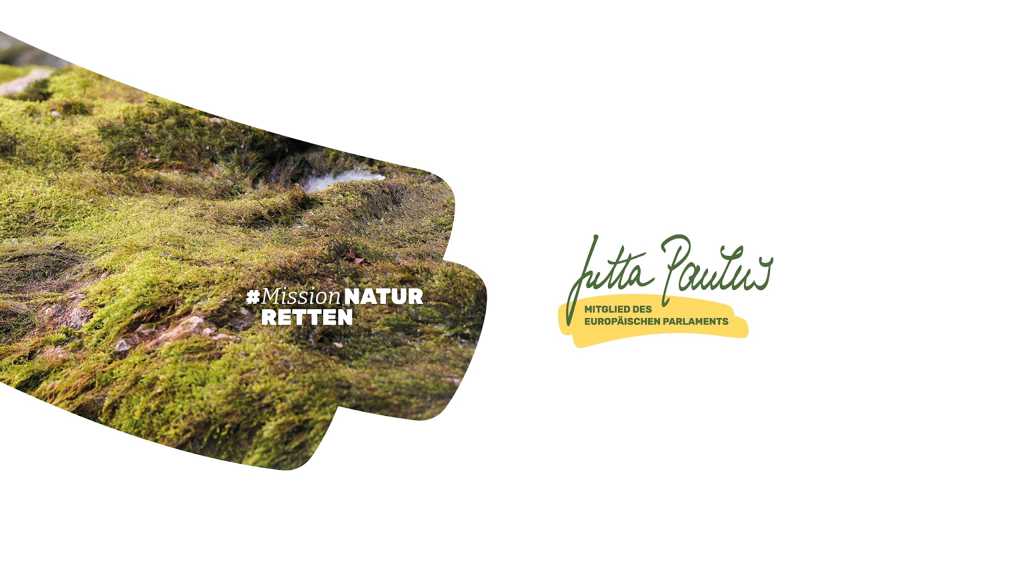 Jutta Paulus YouTube banner