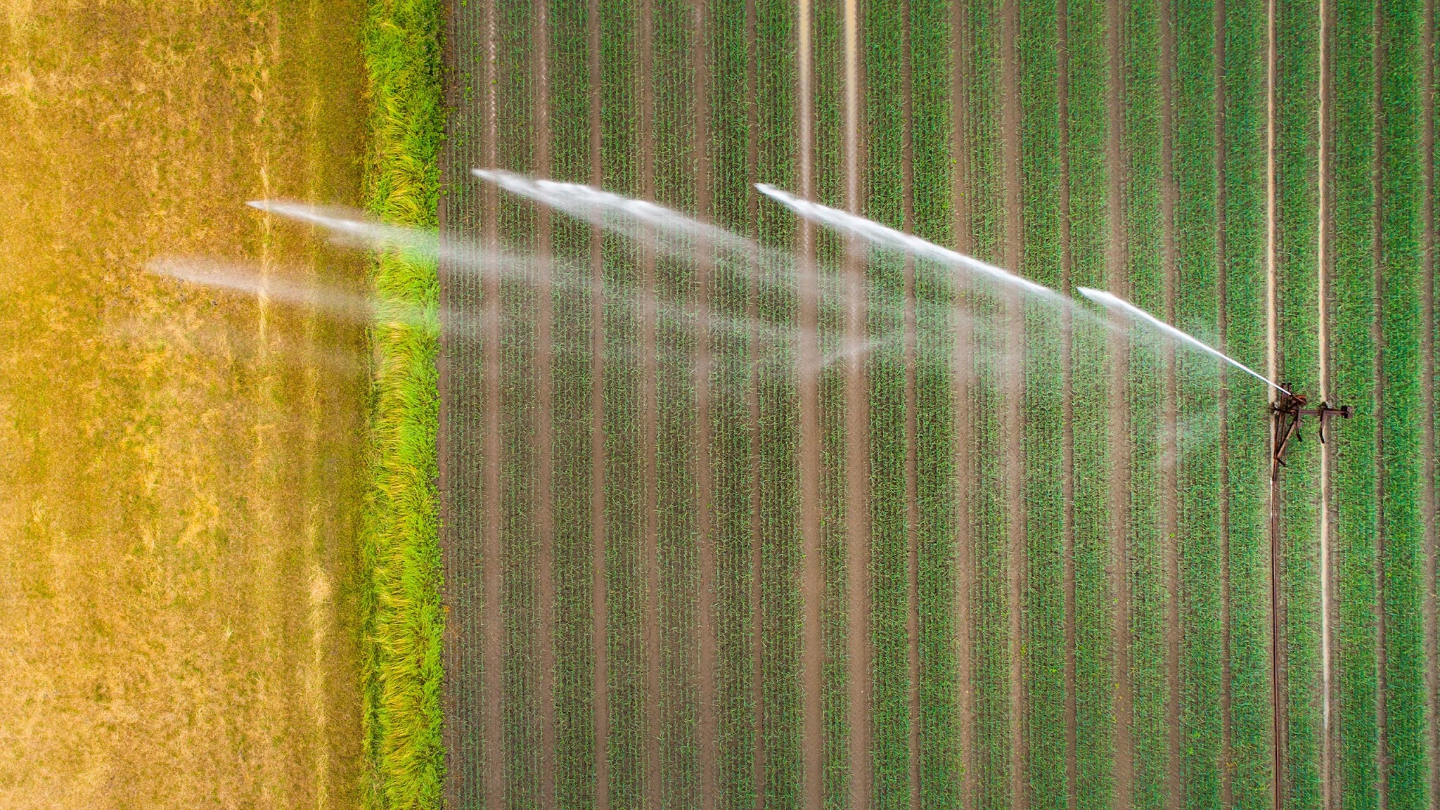 BZL - Bundesinformationszentrum Landwirtschaft YouTube banner