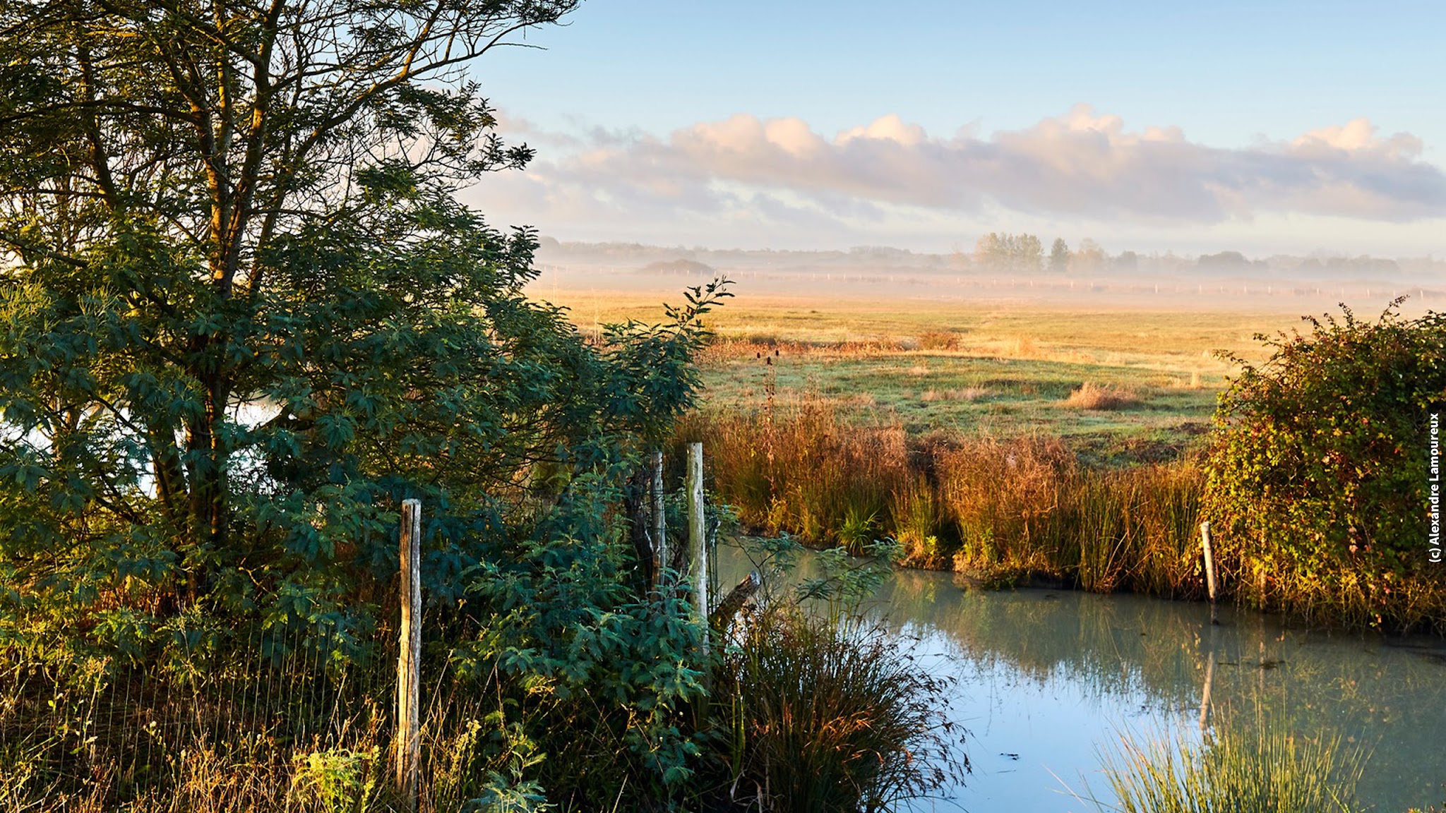 Parc naturel régional du Marais poitevin YouTube banner