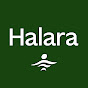 Halara YouTube channel avatar 