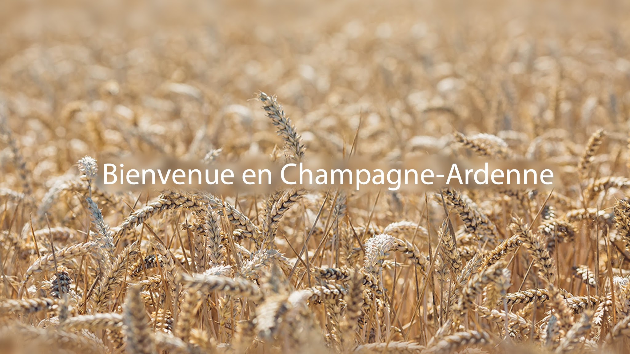 Champagne Ardenne YouTube banner
