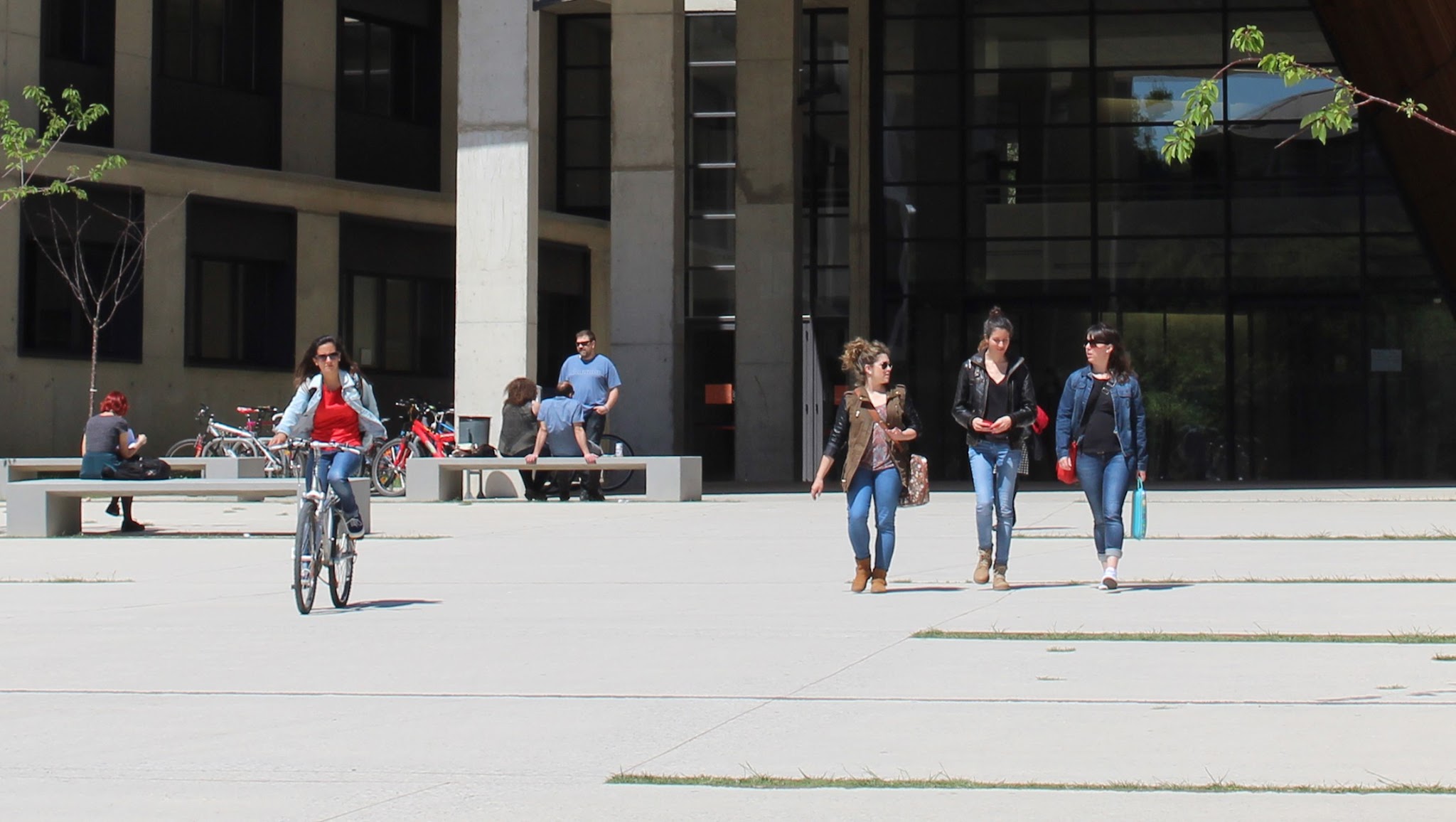 Universidad de Zaragoza YouTube banner