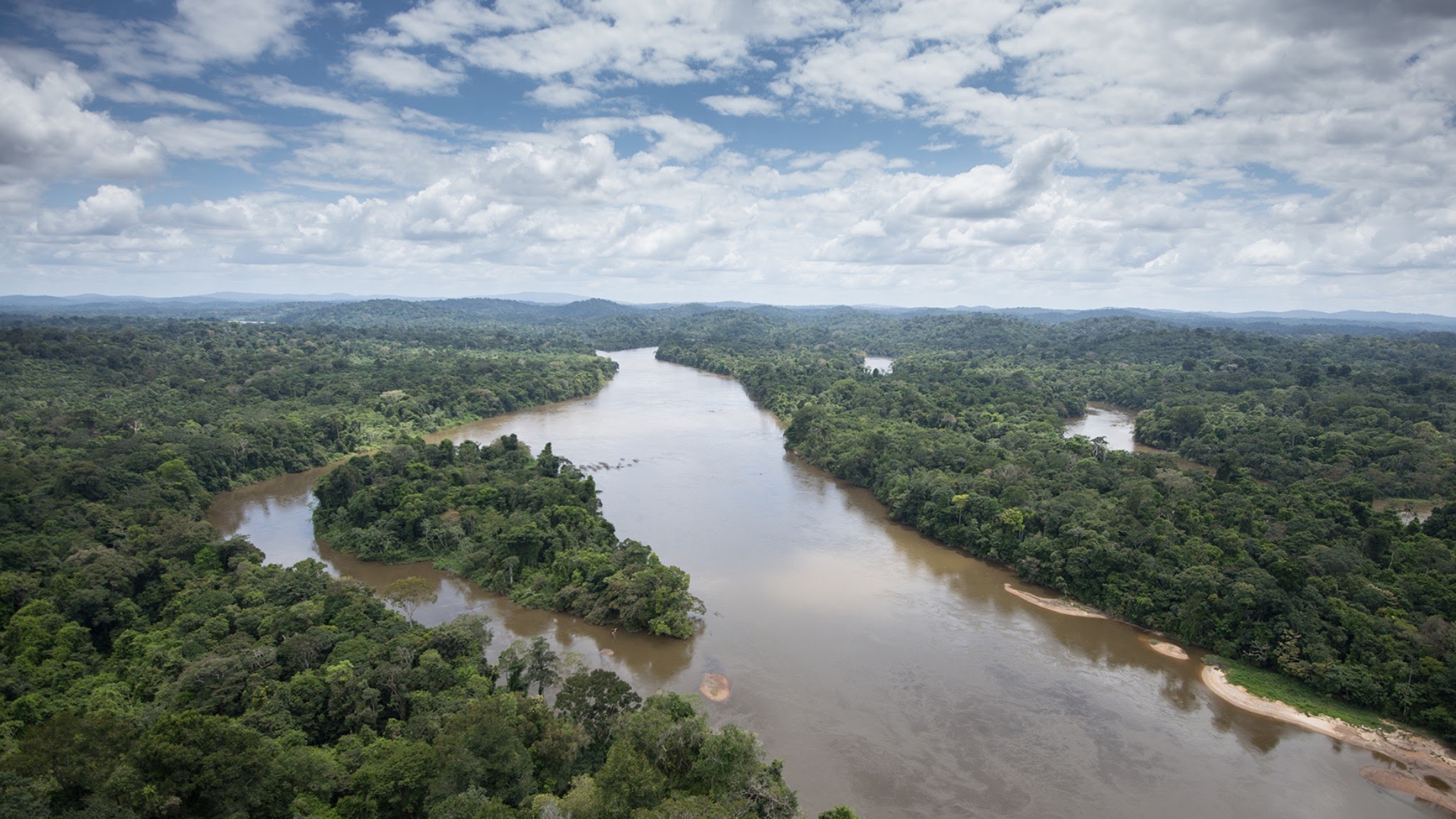 Parc amazonien de Guyane - Officiel - Parc national YouTube banner
