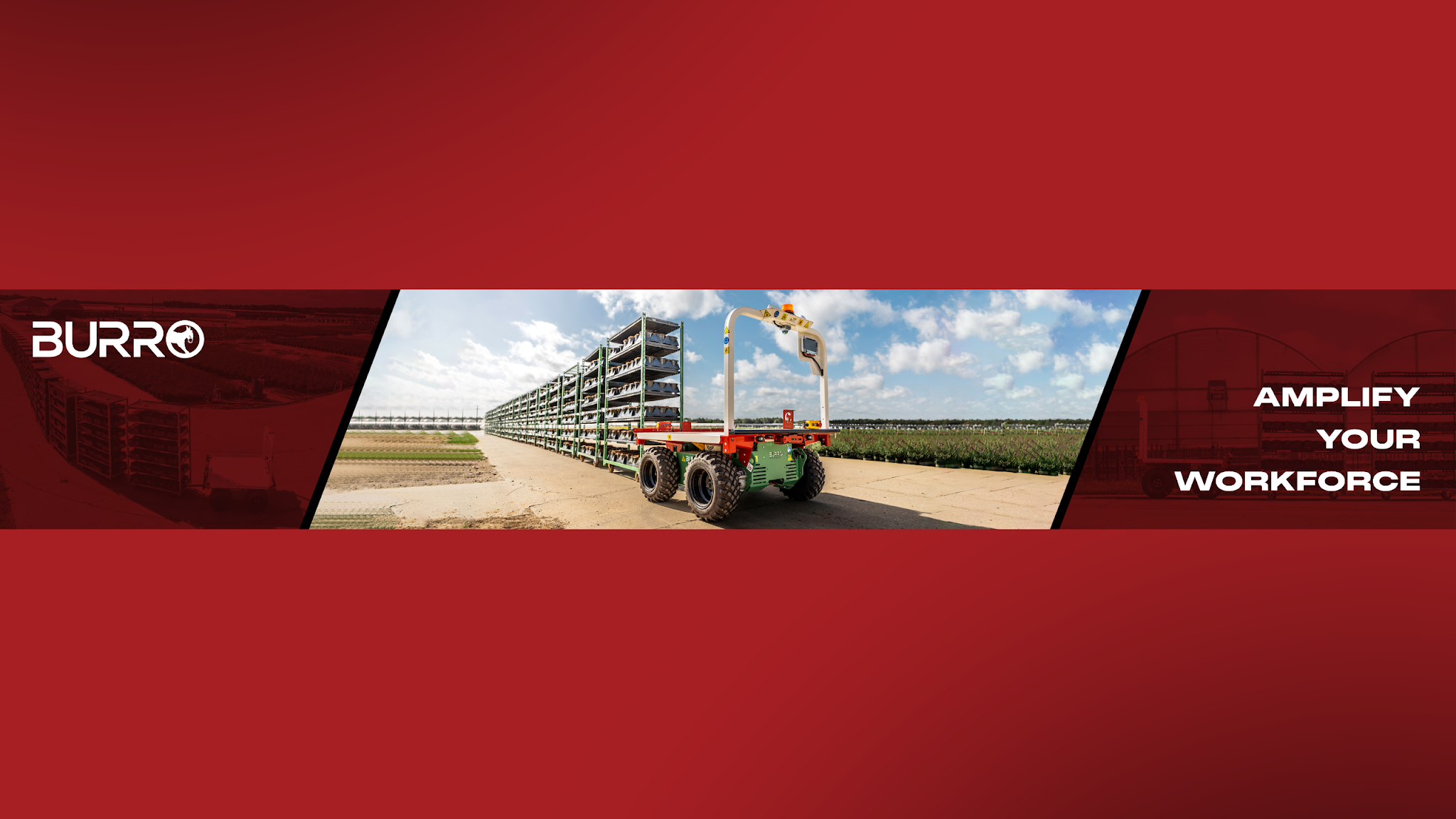 Burro YouTube banner