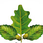 JP Srbijasume logo