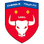 Cheadle Town Football Club logo