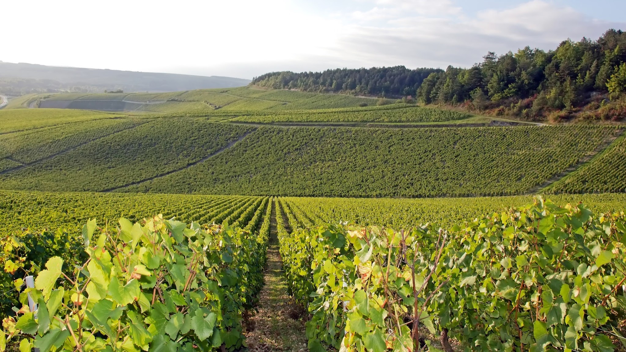 Crédit Agricole de Champagne-Bourgogne YouTube banner