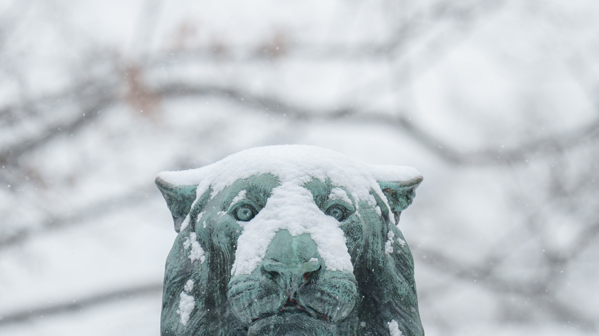 Princeton University YouTube banner