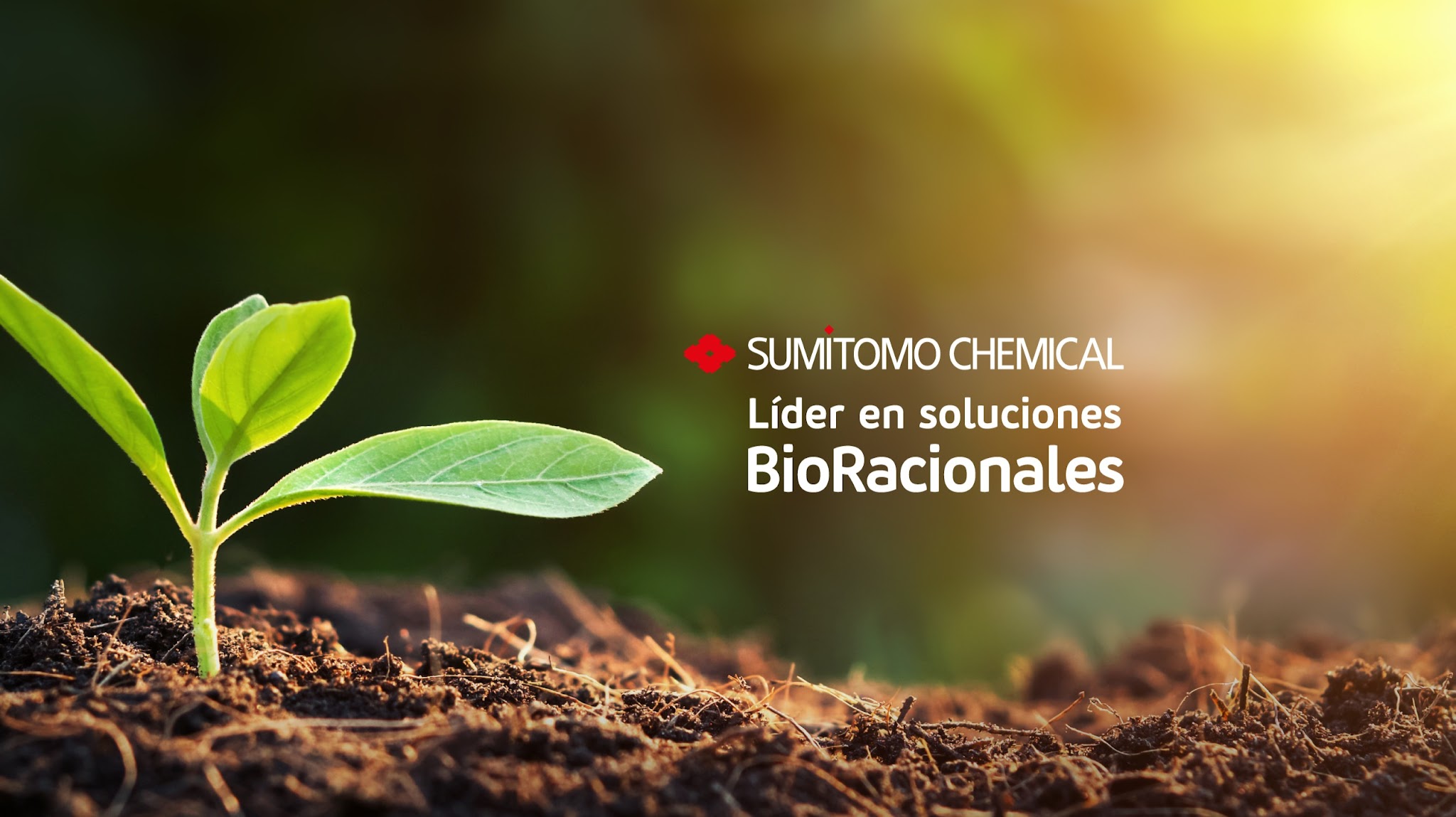Sumitomo Chemical YouTube banner