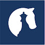 HCSS | The Hague Centre for Strategic Studies logo