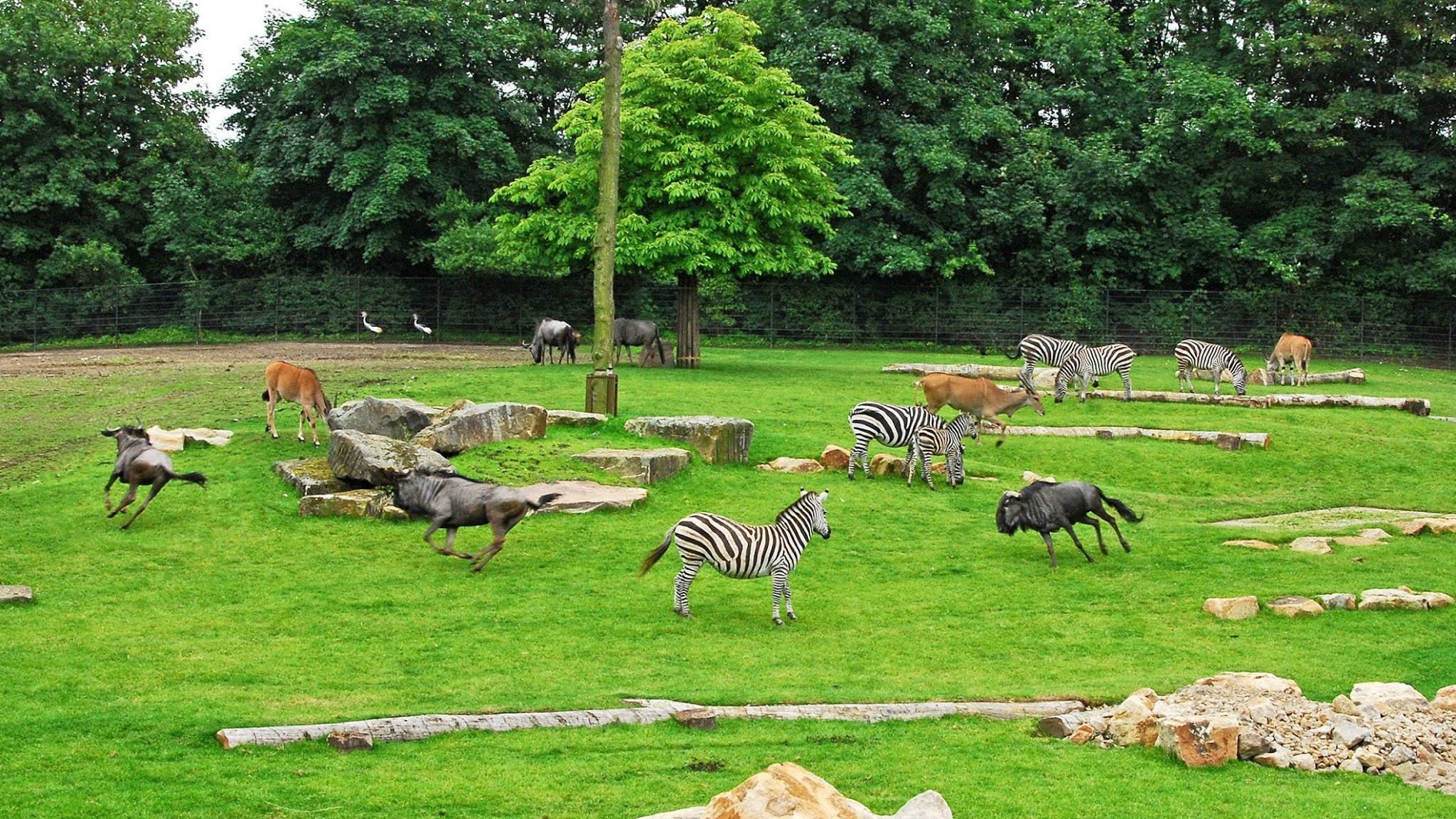 Allwetterzoo Münster YouTube banner