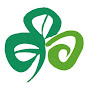 Discover Ireland YouTube channel avatar 