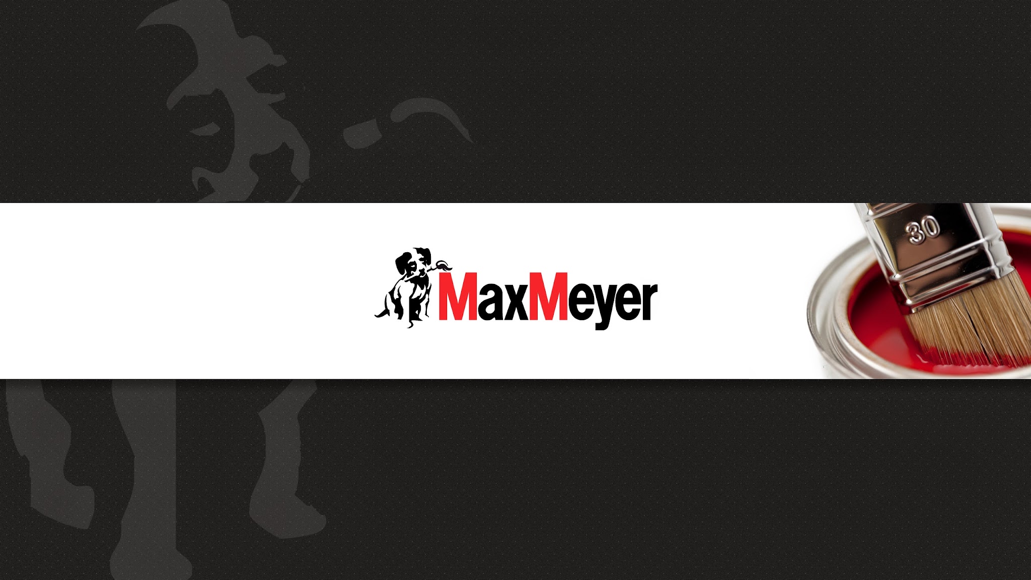 VideoMaxMeyer YouTube banner