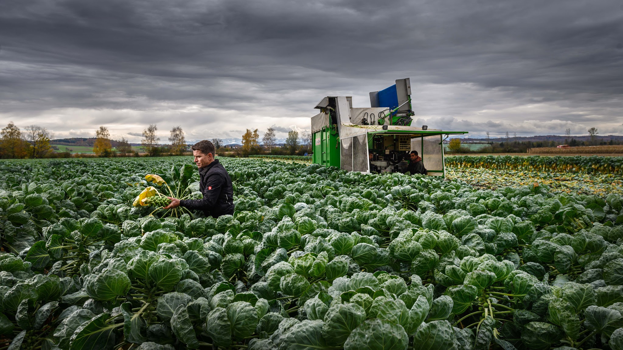 Schweizer Gemüse - Légumes Suisses - Verdura Svizzera YouTube banner