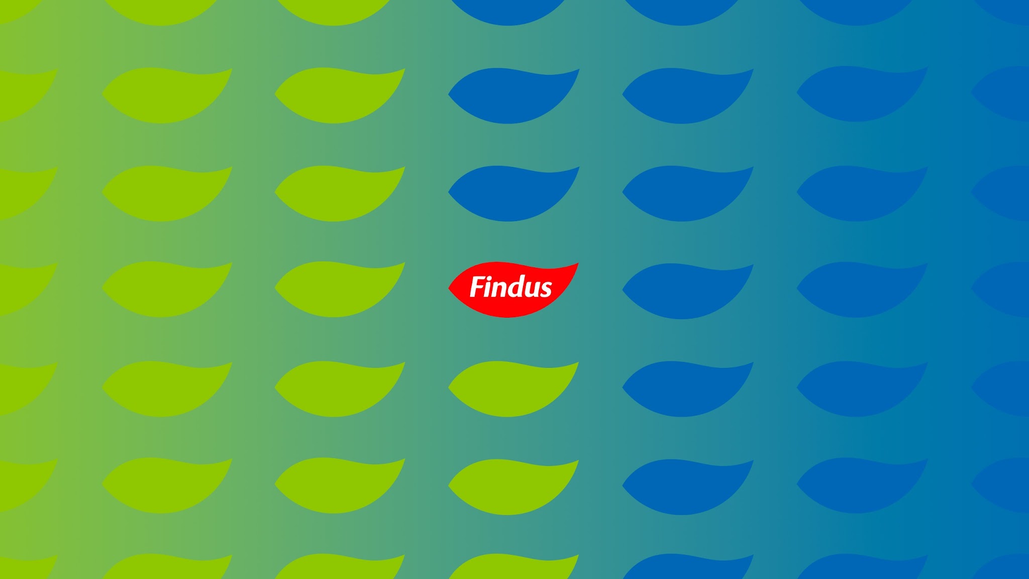 Findus Italia YouTube banner