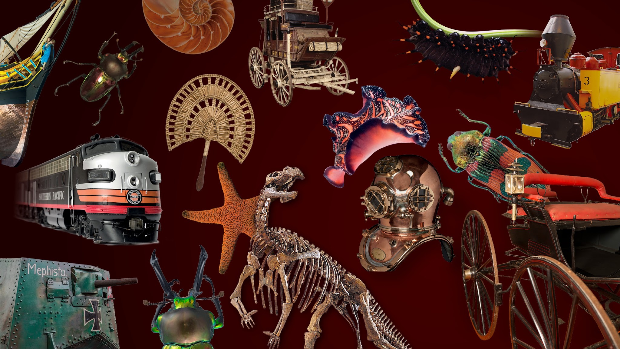 Queensland Museum YouTube banner