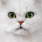 Purina Fancy Feast logo