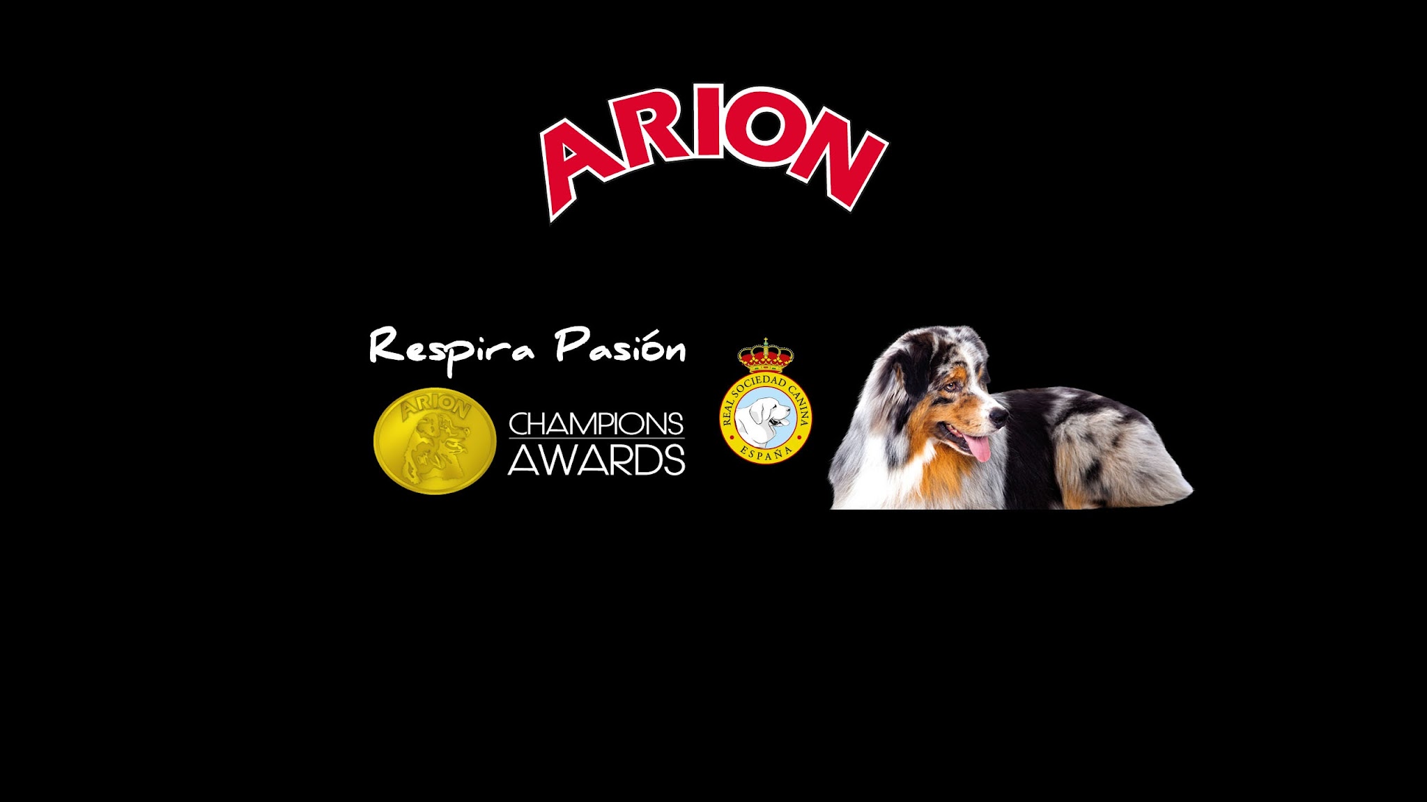 Arion Pet Food YouTube banner