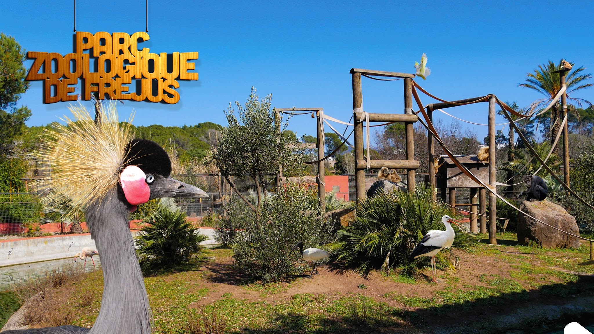 Parc Zoologique de Fréjus - Page Officiel YouTube banner