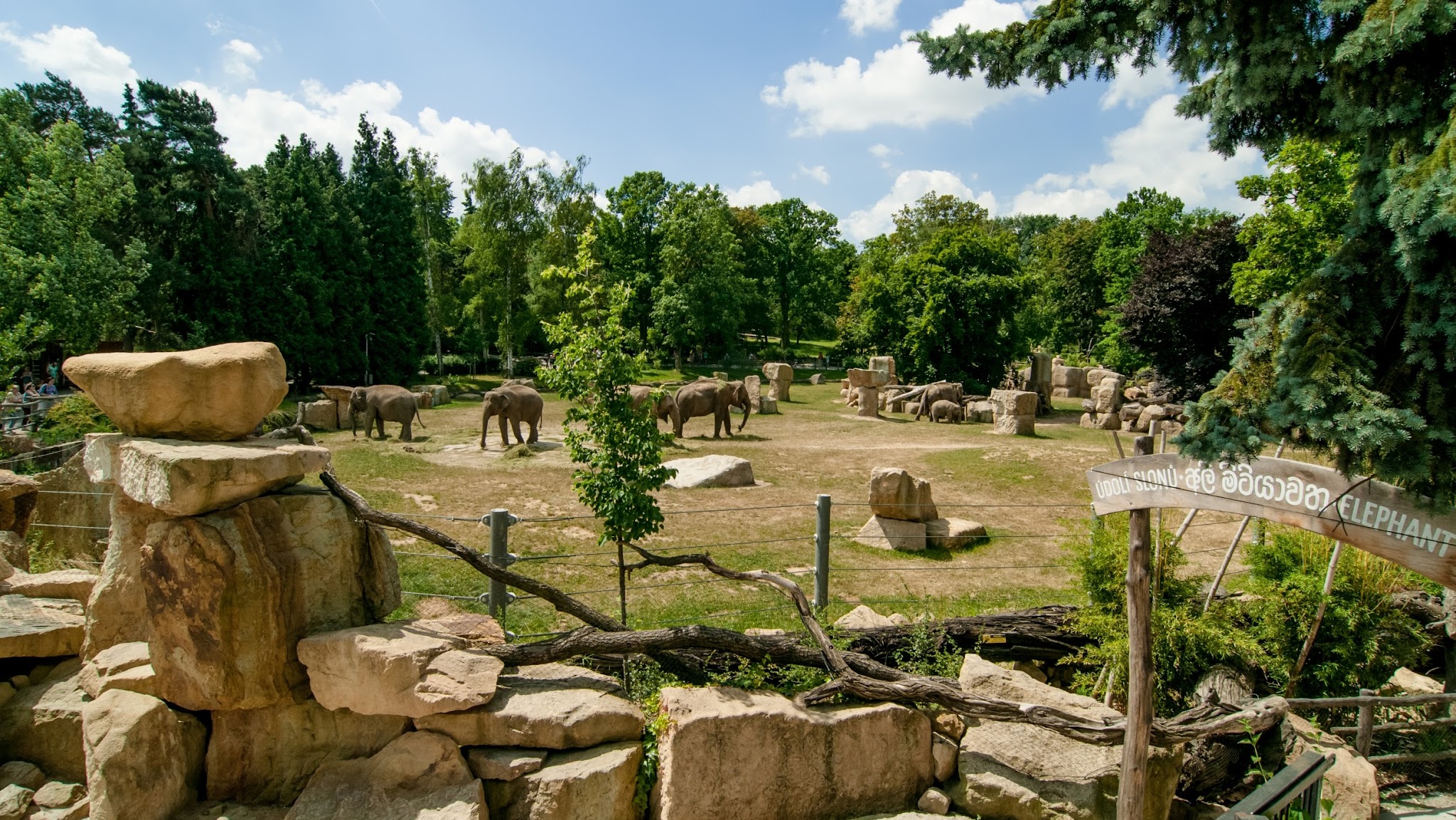 Zoologická zahrada hl. m. Prahy YouTube banner