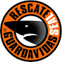 Guardavidas SEAL Chile logo