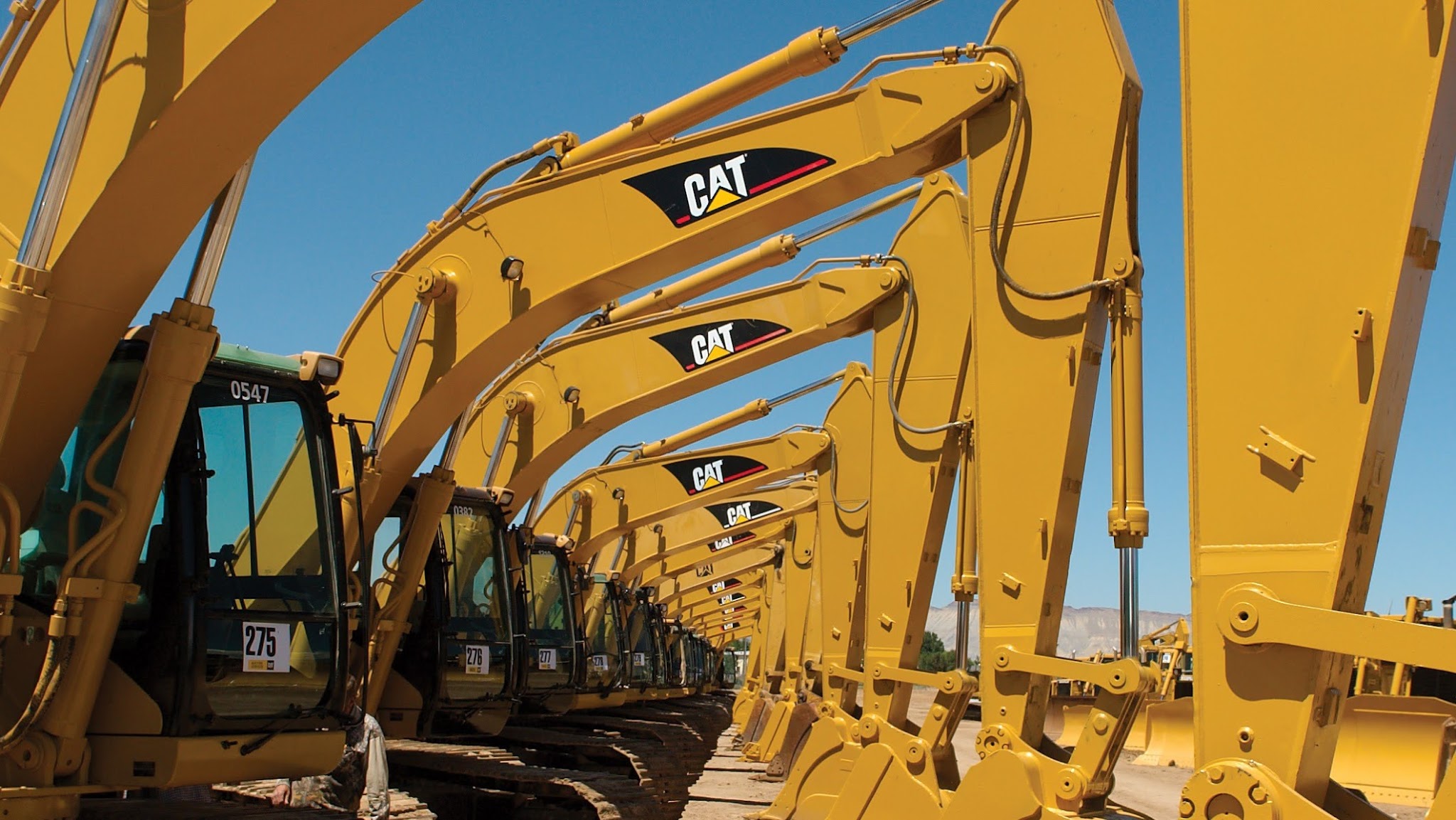Cat Auctions YouTube banner