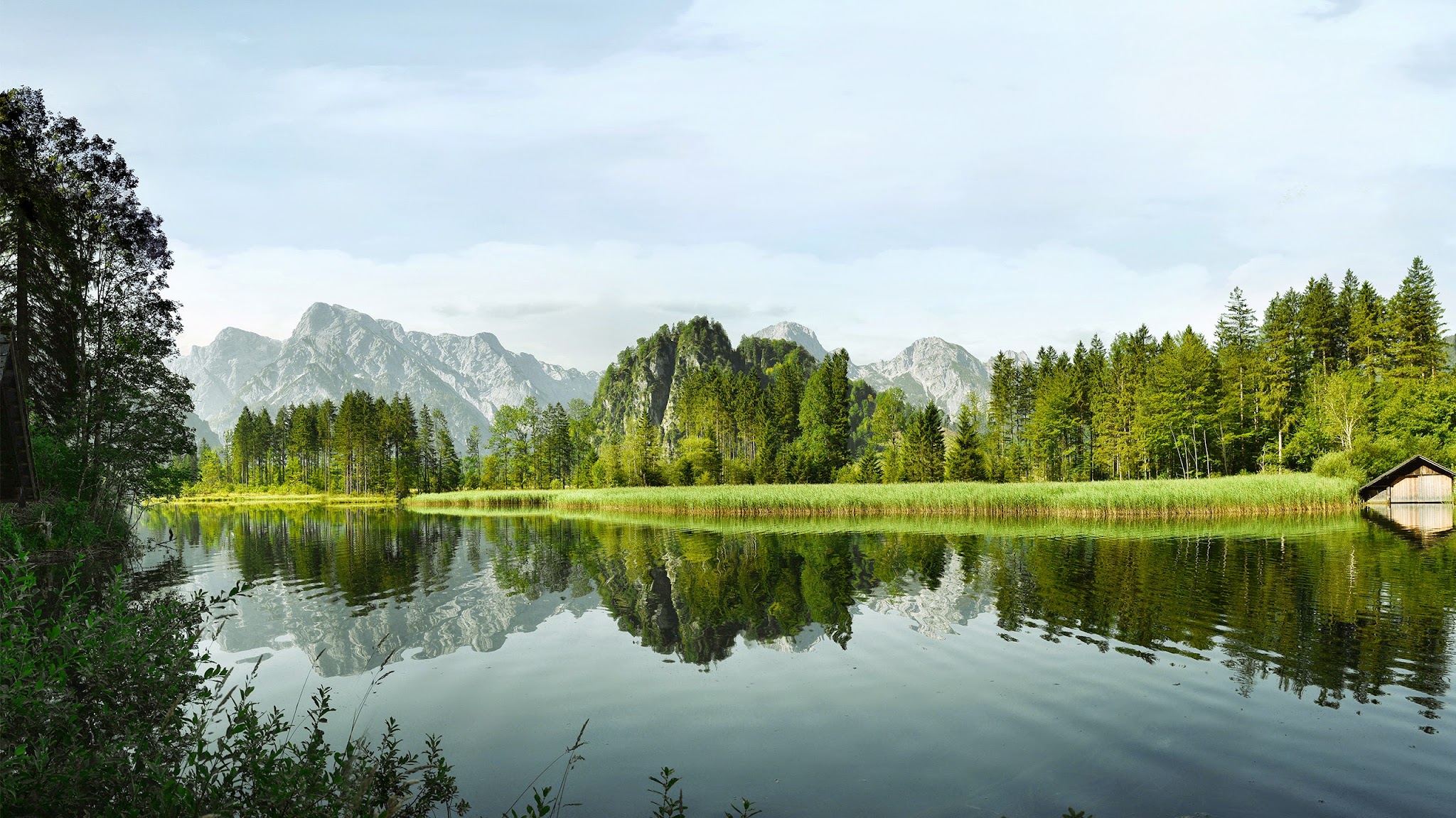 WOLF Haus Österreich YouTube banner