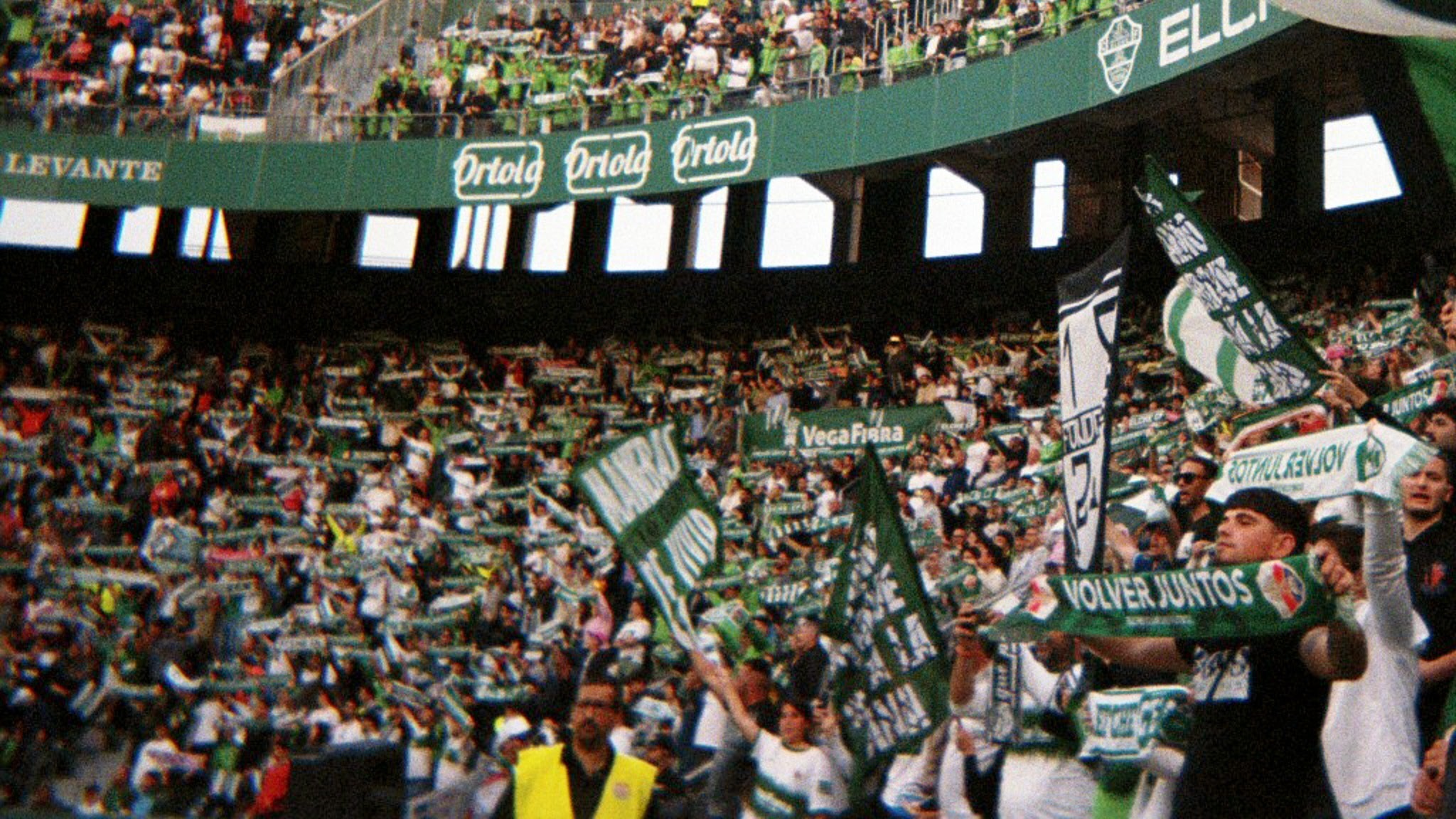 Elche Club de Fútbol 💚🌴 YouTube banner