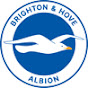 Official Brighton & Hove Albion FC logo