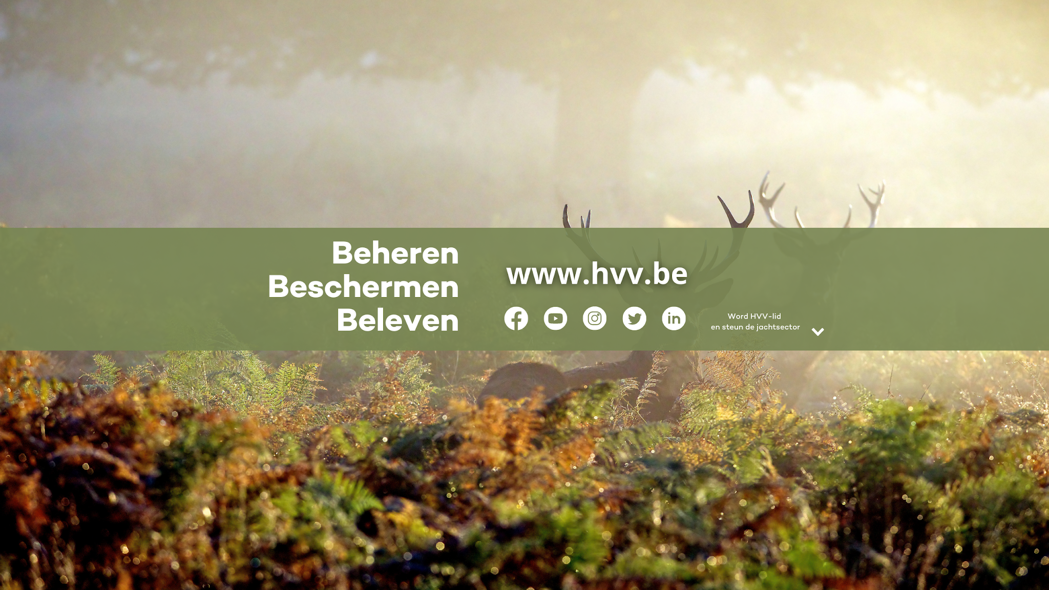 Hubertus Vereniging Vlaanderen YouTube banner