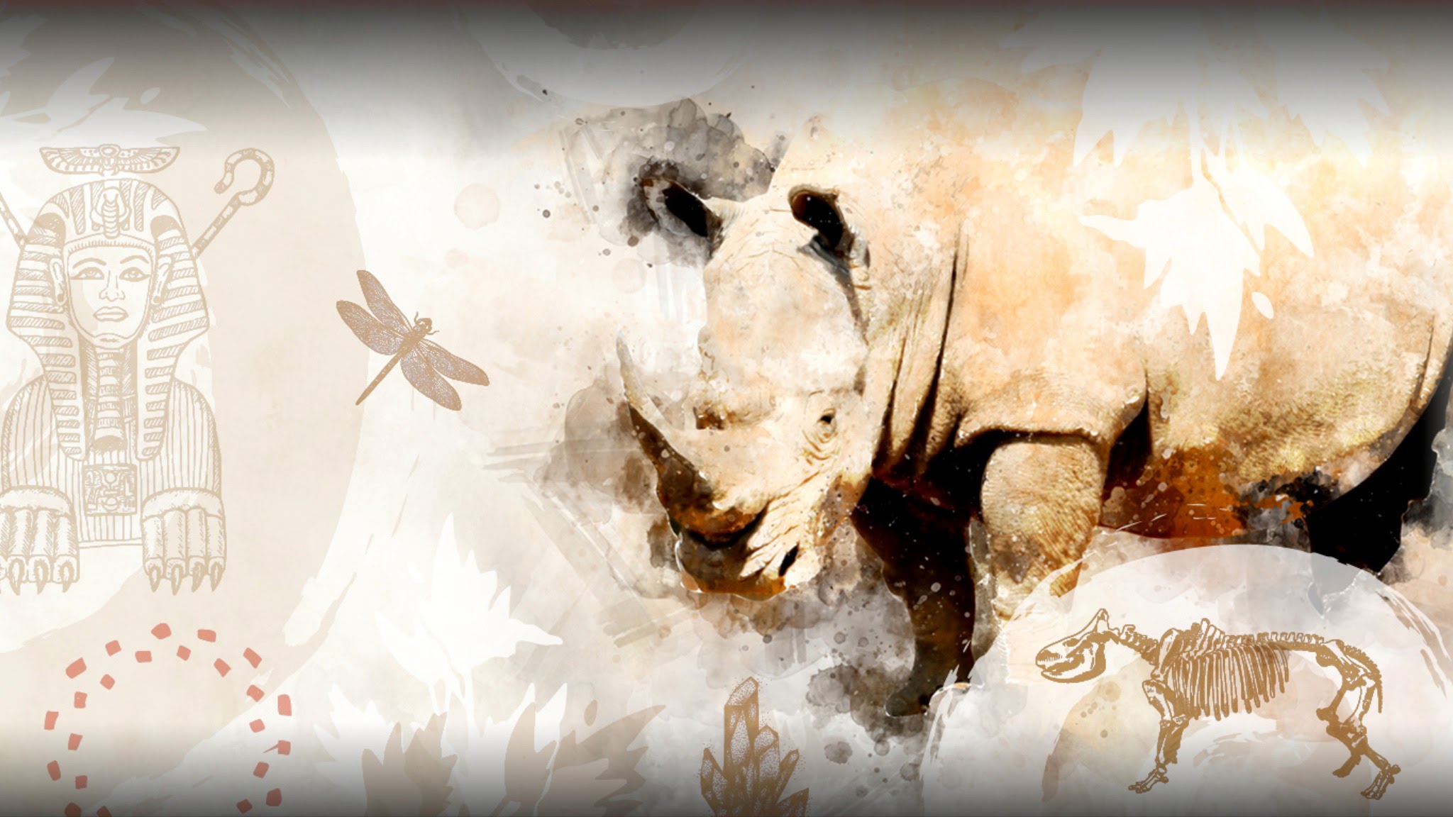 Muséum de Colmar YouTube banner