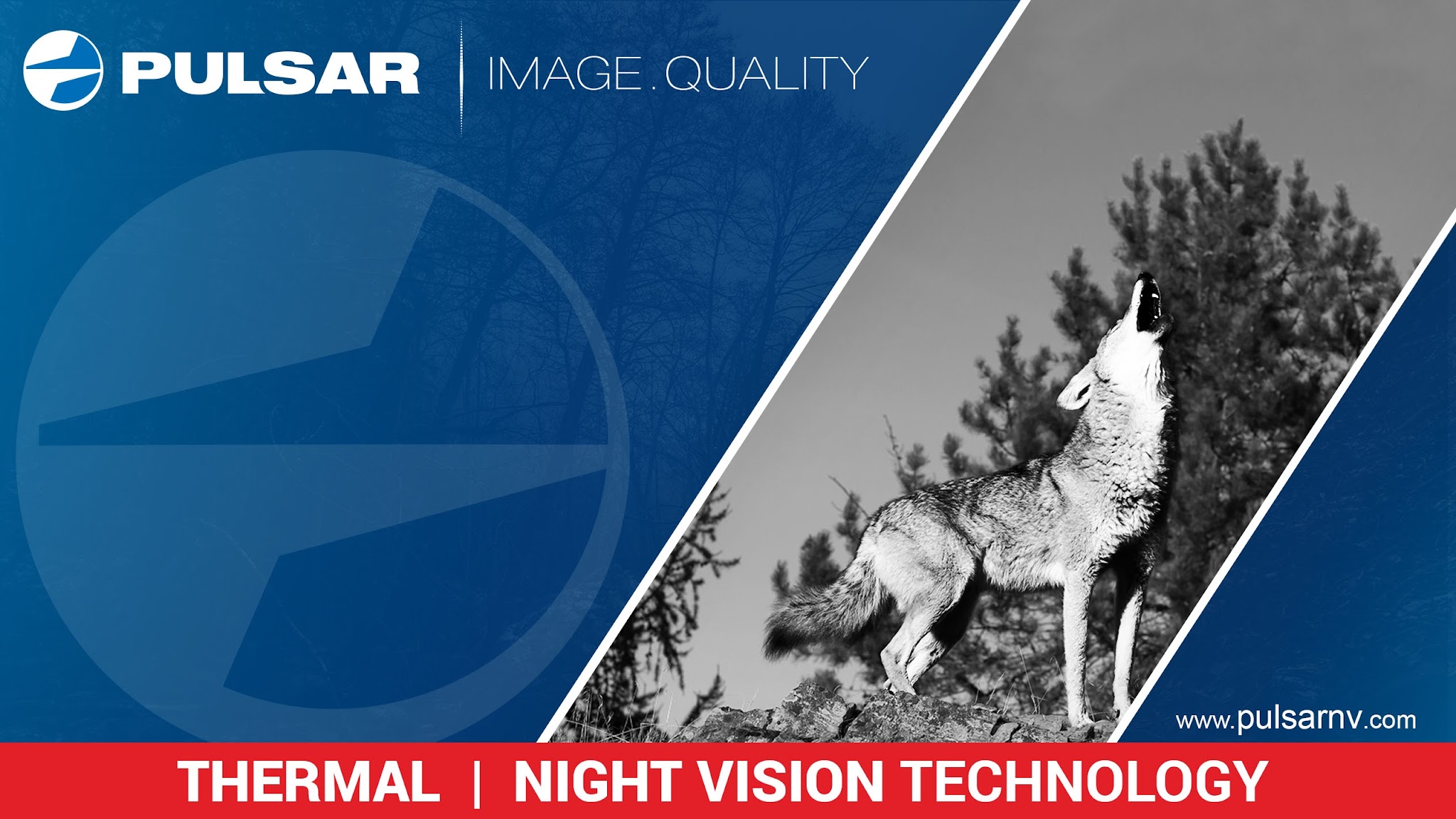 Pulsar USA YouTube banner
