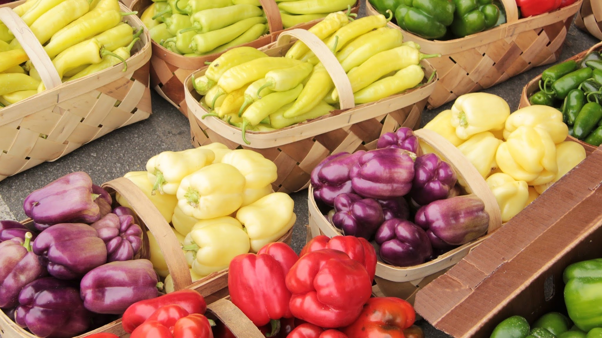 North Carolina Agriculture YouTube banner
