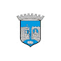 Trondheim kommune logo