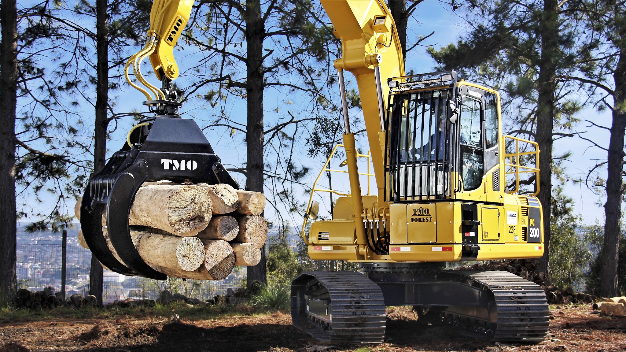 TMO Forest YouTube banner