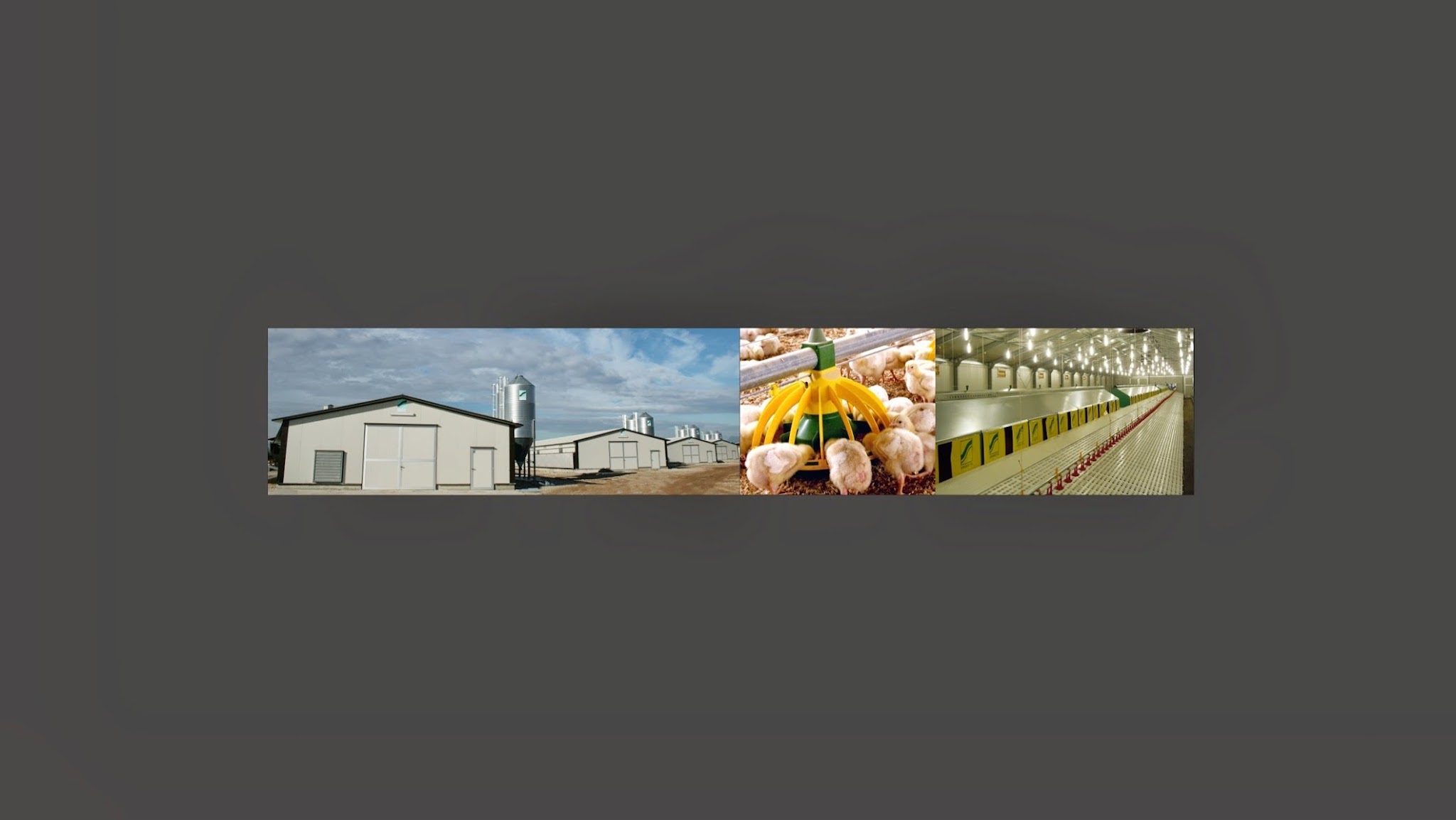 SPEROTTOSPA YouTube banner