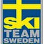 Swedishfreestyle YouTube channel avatar 