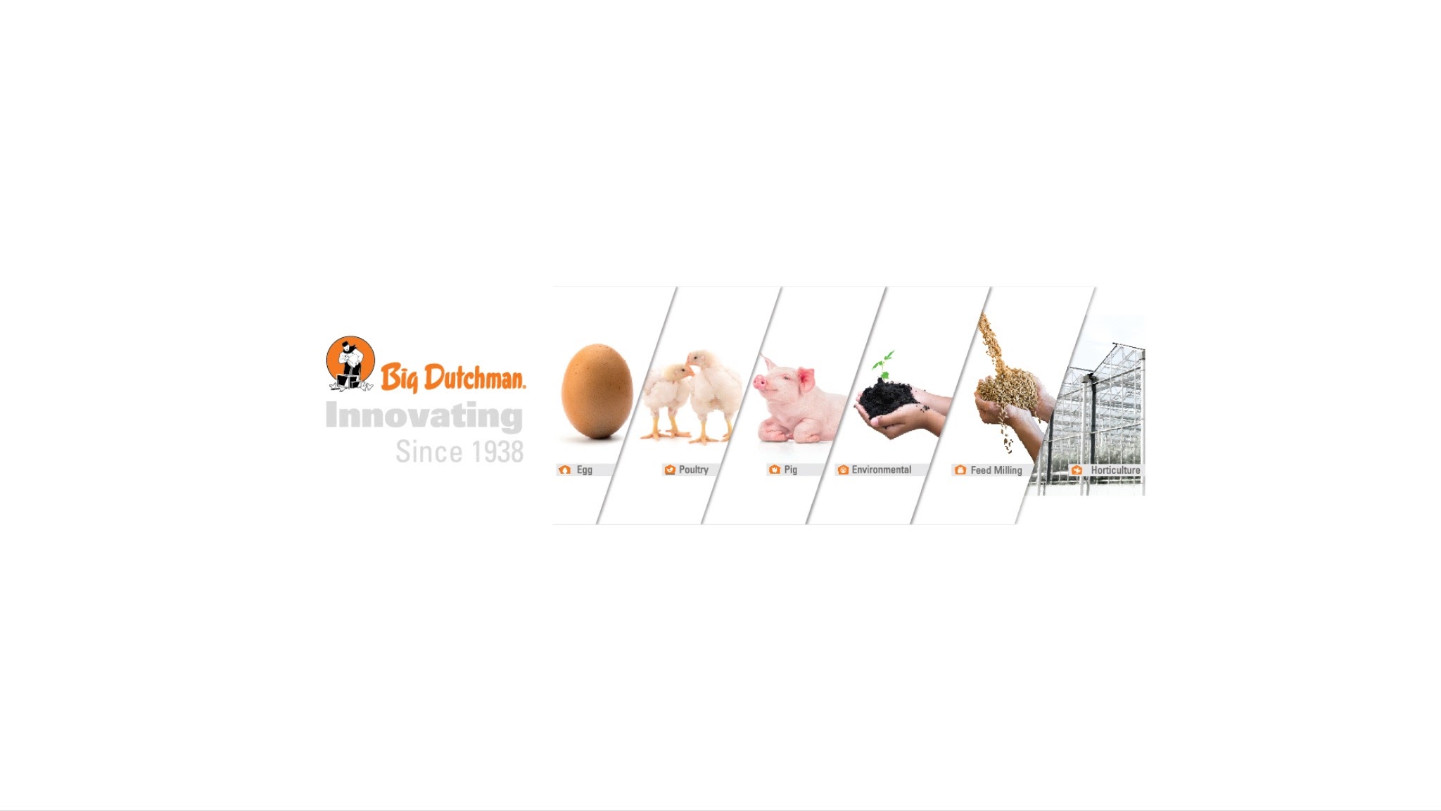 Big Dutchman Asia YouTube banner