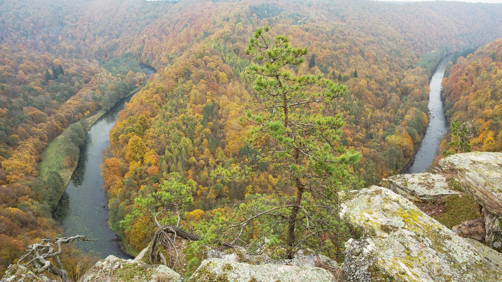 NationalparkThayatal YouTube banner