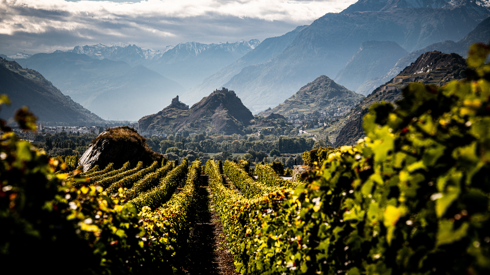 Swiss Wine Valais YouTube banner