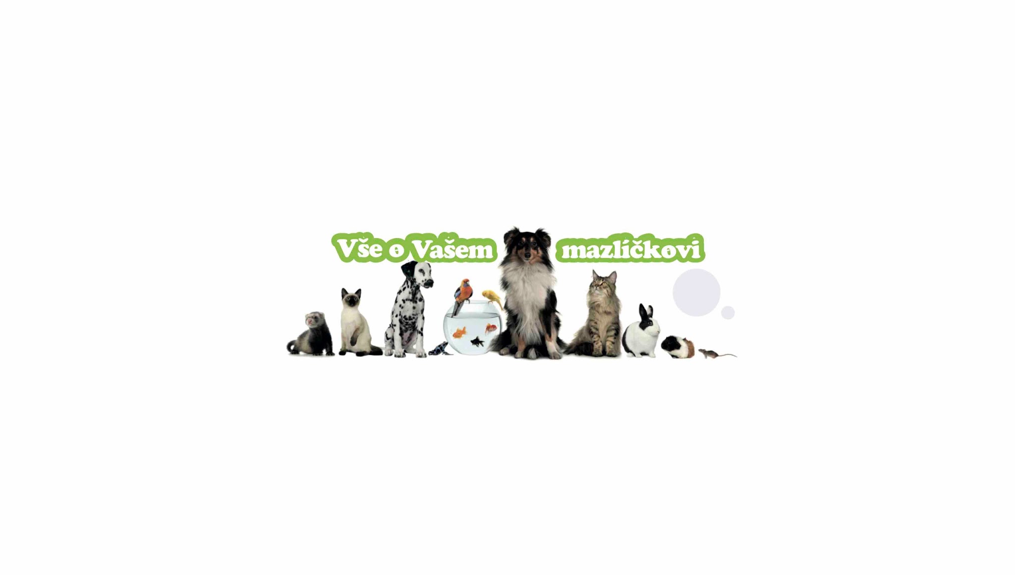 Vše o Vašem mazlíčkovi YouTube banner