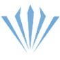 Telcon Diamond Ltd. PCD-CVD logo