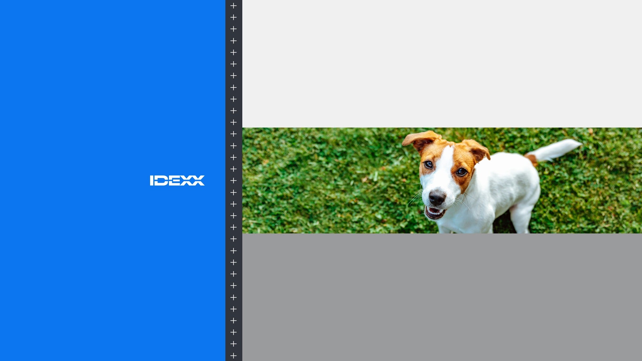 IDEXX Laboratories Thailand YouTube banner