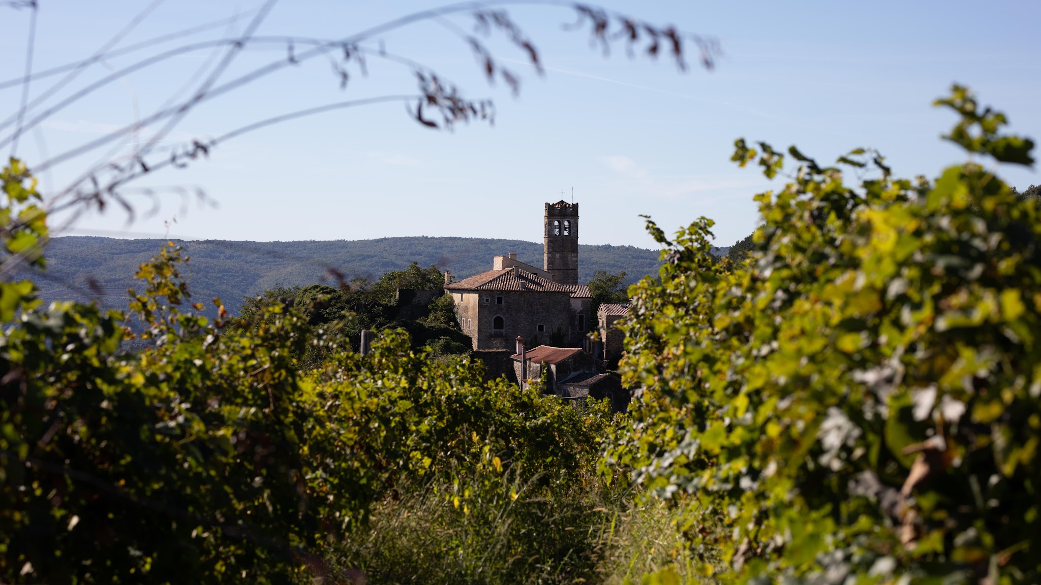 Naturale Antica Erboristeria YouTube banner